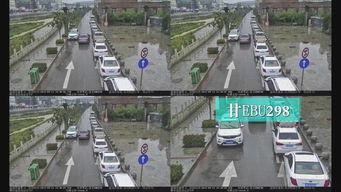 甘肃西和县爆料事件最新,揭开乡村乱象背后的真相